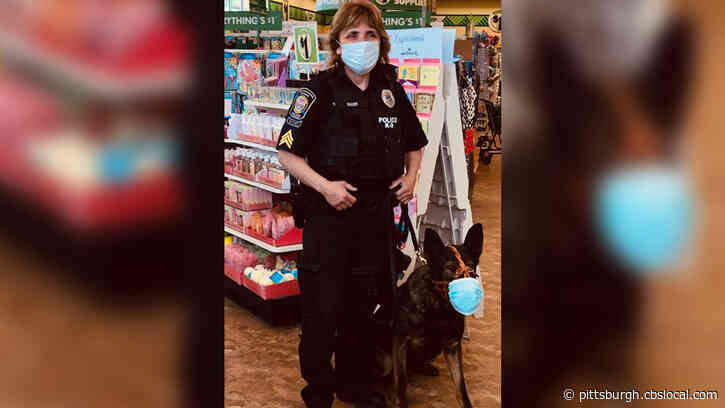 ‘It’s OK To Wear A Mask!’ North Huntingdon Police Department K-9 Promotes Staying Safe