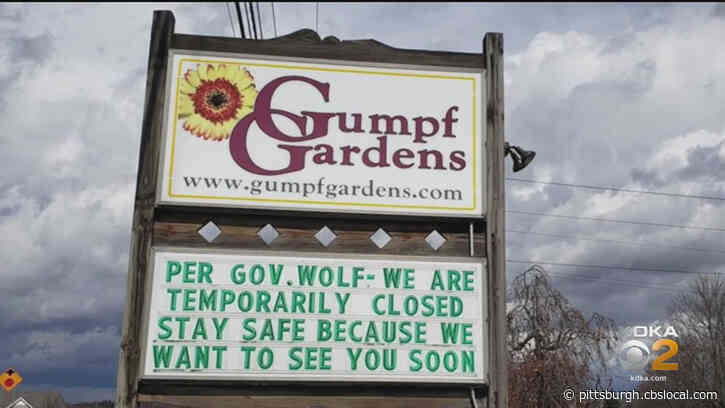Coronavirus Closures: Local Garden Centers Struggling Amid Non-Essential Business Closure