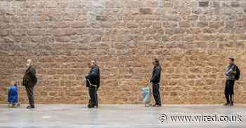 What if coronavirus comes back every year, like the common cold?