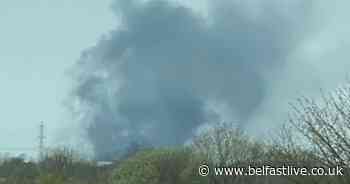 Nutts Corner "controlled burning" sees firefighters scrambled - Belfast Live