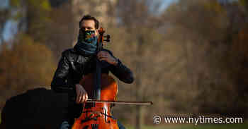 A String Quartet Is Crushed by the Coronavirus