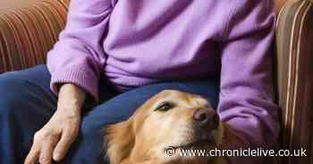 How this charity is supporting older people in Gateshead