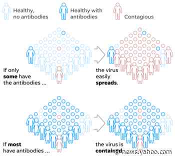Fact check: Herd immunity would not fully stop the spread of coronavirus