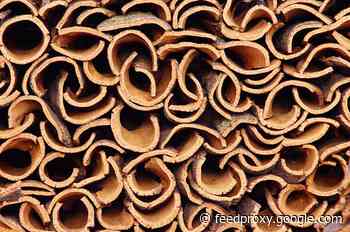 Climate Change Lessons From an Unlikely Source — America’s Forgotten Cork Crisis