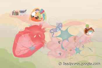 How Human Connection Affects Our Hearts and Hormones