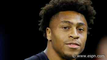 NFL draft interviews on video calls get interesting with dogs and spotty Wi-Fi