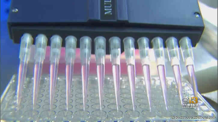 Coronavirus Testing Needs To Go Up By 350K Per Day For US To Reopen, Researchers Say