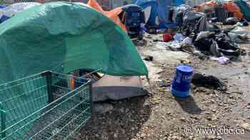 More help needed for Edmonton's homeless during pandemic, critics say