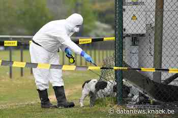 Gsm-mast in Pelt in brand gestoken
