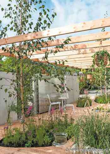 Ontstressen in de tuin: hoe meer struiken en bomen, hoe meer vogels je hoort fluiten