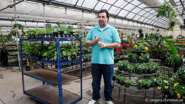 Canadian greenhouses struggling with economic reality of COVID-19