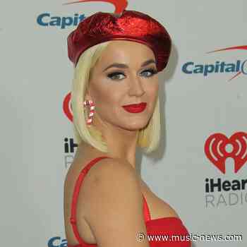 Katy Perry heartbroken as beloved cat Kitty Purry dies