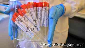 Coronavirus death toll in Northern Ireland rises one to 194