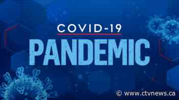 Interactive: Which benefits am I eligible for during the COVID-19 pandemic?