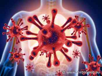 Coronavirus, la drammatica testimonianza del medico di Casalpusterlengo: “In 48h i polmoni collassan ... - Meteo Web