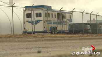 Coronavirus: Extension of Canada-U.S. border restrictions heighten worries in southern Alberta border town