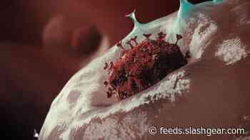Companies that are thriving during the Coronavirus outbreak