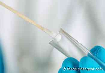 FDA: Q-tip-style swab could cut coronavirus test risk