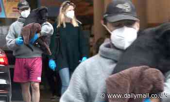 Shia LaBeouf and Mia Goth protect themselves with masks and gloves as they appear to adopt a puppy