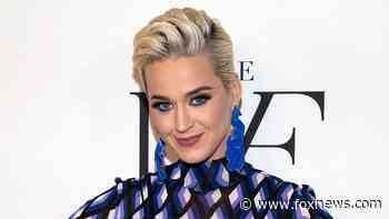 Katy Perry's cat, Kitty Purry, has died, singer says: 'Thanks for the cuddles'