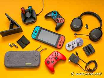 Best Nintendo Switch accessories to buy for 2020     - CNET