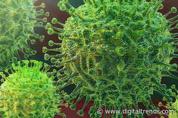 The founders of Instagram reunite to create a coronavirus tracker website