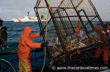 Bristol Bay leaders: Enforce protocols or close down fishery - Cordova Times