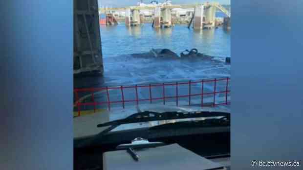 BC Ferries vessel damaged after hitting dock in Tsawwassen - CTV News