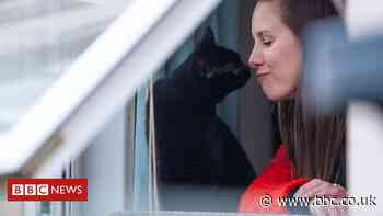 Coronavirus: Bristol photographer's lockdown stories