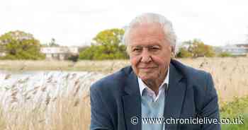 David Attenborough, Danny Dyer and Brian Cox to teach virtual school lessons