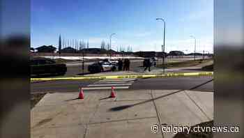 Lethbridge boy dies in crosswalk collision - CTV News