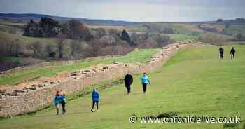 Police guidance slammed for saying it is ok to drive to countryside for exercise