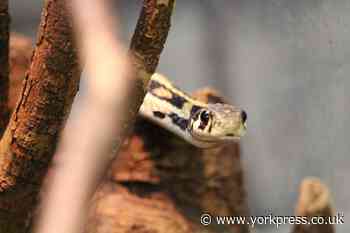Askham Bryan wildlife park starts lessons on animals and zookeeping
