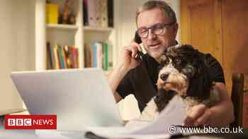 Coronavirus: Domestic electricity use up during day as nation works from home