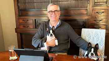 Homeoffice-Quiz: Welcher Konzern wird aus diesem Wohnzimmer gelenkt?