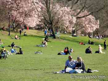 Reopening America could be done in 2 to 3-week phases, with certain aspects of society resuming sooner than others