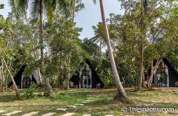 Sri Lanka's Palm Hotel is 'Shoreditch-infused tropical architecture' - The Spaces