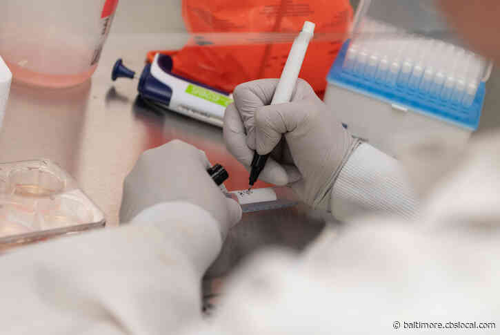 Coronavirus Latest: More Than 13.6K COVID-19 Cases, 500 Deaths Reported In Maryland
