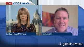 Progress in the development of VIDO-intervac’s novel coronavirus vaccine