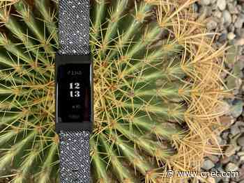 Review: Fitbit Charge 4 actually made me run faster     - CNET