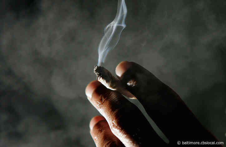 How 4/20 Became ‘Weed Day’