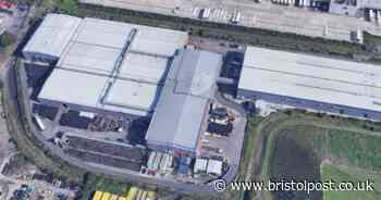 Waste company denies link to fly infestation in Avonmouth