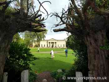 Yorkshire Museum 'cracks Twitter in creepiest way possible'