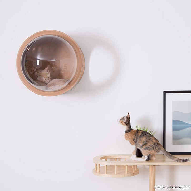 How to make comfortable spaces for dogs, cats and pet friends at home