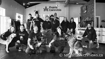 Independent Sask. cannabis retailers celebrate local on 4/20