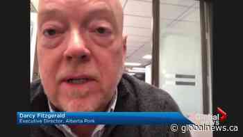 Pork industry sees market price drop amid COVID-19