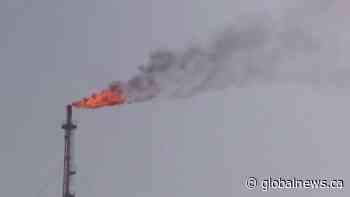 Crude awakening: Oil prices plummet to negative territory