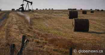 Lower commodity prices cut into PrairieSky Royalty Q1 earnings
