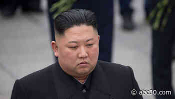 South Korea looking into reports about Kim Jong Un's 'fragile' health