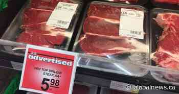 Coronavirus: Ranchers feel pain of low cattle prices while consumers told not to expect deals on beef